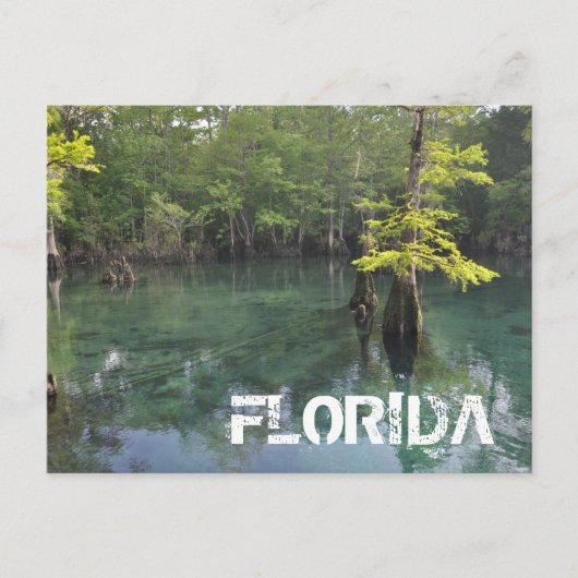 CARTE POSTALE FLORIDE (Devant)