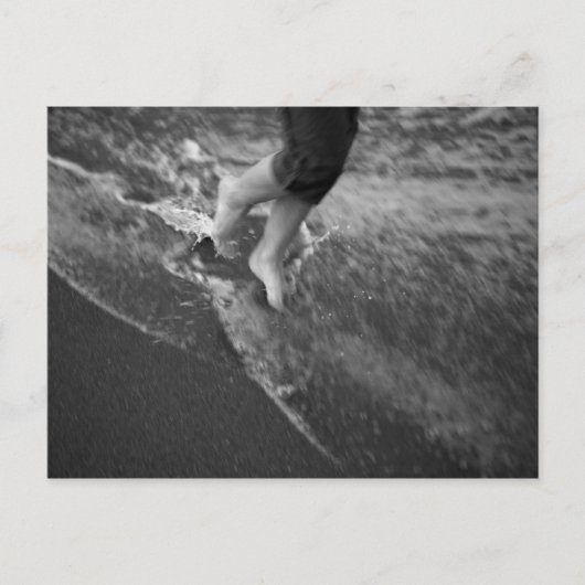 Carte postale Floride (Devant)