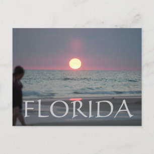 CARTE POSTALE FLORIDE