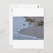 Carte Postale Floride (Devant / Derrière)