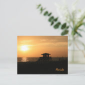 Carte postale Floride (Debout devant)