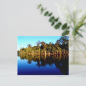 Carte Postale Floride (Debout devant)