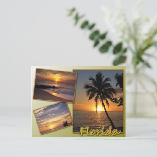 Carte Postale Floride (Debout devant)