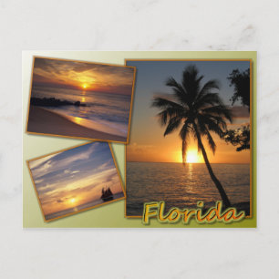 Carte Postale Floride