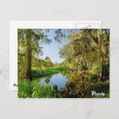 Carte Postale Floride (Devant / Derrière)