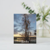 Carte postale Floride (Debout devant)