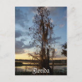 Carte postale Floride (Devant)