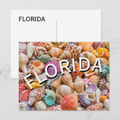 Carte Postale Floride (Devant / Derrière)
