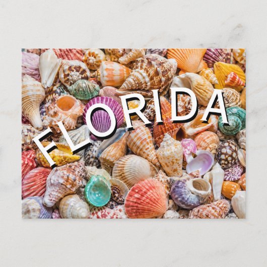 Carte Postale Floride (Devant)
