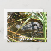 Carte Postale Floride (Devant / Derrière)