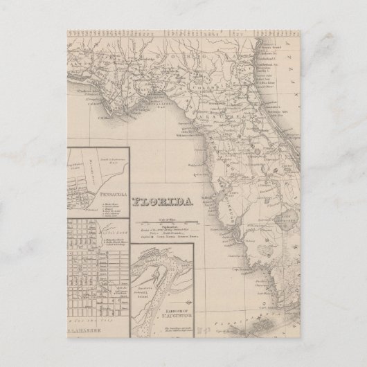 Carte Postale Floride (Devant)