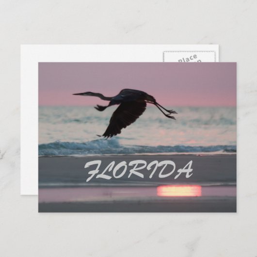 CARTE POSTALE FLORIDE (Devant / Derrière)