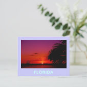 CARTE POSTALE FLORIDE (Debout devant)