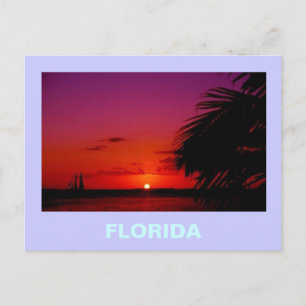 CARTE POSTALE FLORIDE