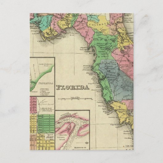 Carte Postale Floride 11 (Devant)