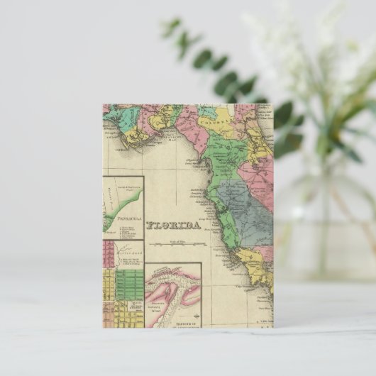 Carte Postale Floride 11 (Debout devant)