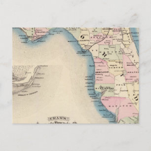 Carte Postale Floride 3