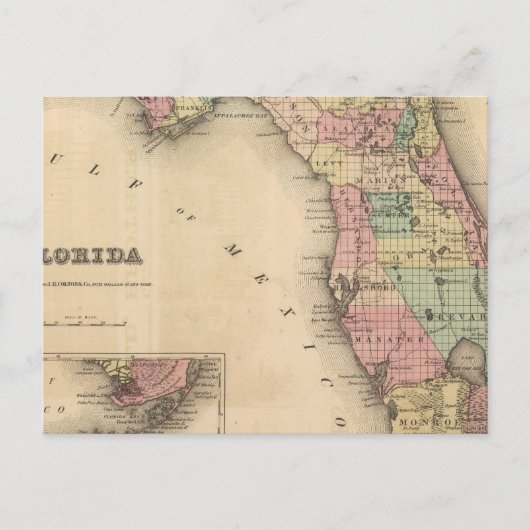 Carte Postale Floride 6 (Devant)