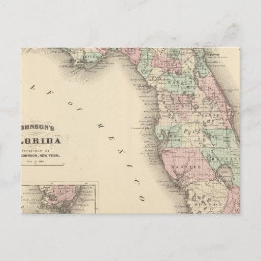 Carte Postale Floride 9 (Devant)
