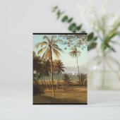 Carte Postale Floride - Albert Bierstadt (Debout devant)