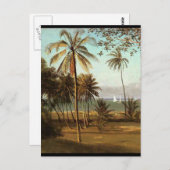Carte Postale Floride - Albert Bierstadt (Devant / Derrière)