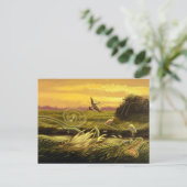 Carte postale Floride Alligators (Debout devant)