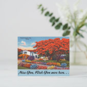 Carte Postale Floride, Arbre Royal Poinciana (Debout devant)