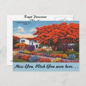 Carte Postale Floride, Arbre Royal Poinciana (Devant / Derrière)