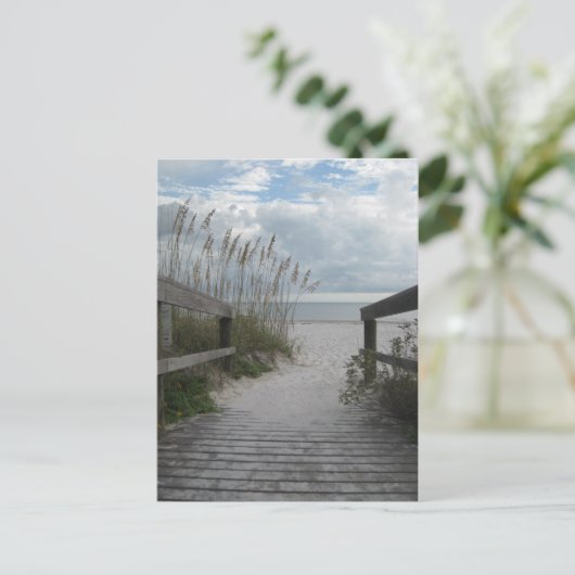 Carte Postale Floride Beach Path (Debout devant)