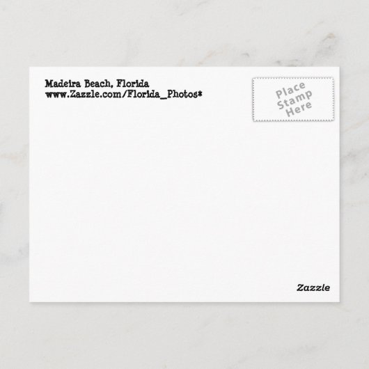 Carte Postale Floride Beach Path (Dos)