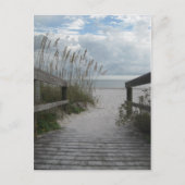 Carte Postale Floride Beach Path (Devant)