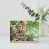 Carte Postale Floride Cottonmouth dans le marais (Debout devant)