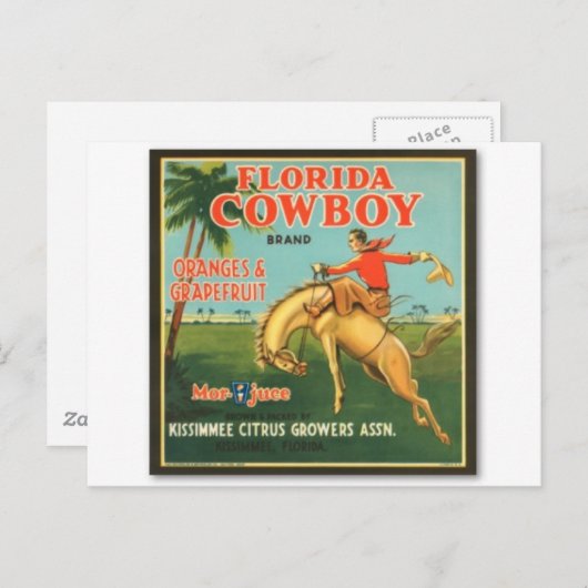 Carte Postale Floride Cowboy (Devant / Derrière)