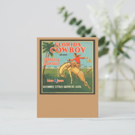 Carte Postale Floride Cowboy (Debout devant)