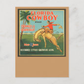 Carte Postale Floride Cowboy (Devant)