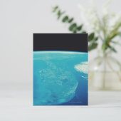 Carte Postale Floride de l'espace (Debout devant)