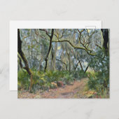 Carte Postale Floride dentelle espagnole mousse impressionniste (Devant / Derrière)