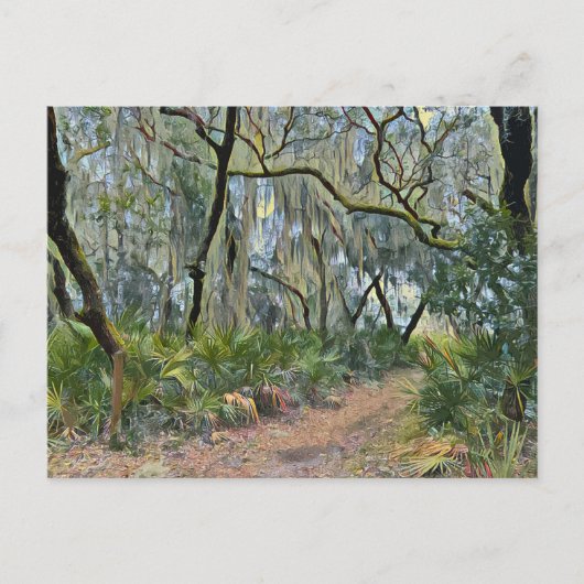 Carte Postale Floride dentelle espagnole mousse impressionniste (Devant)