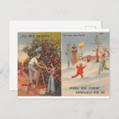 Carte Postale Floride en hiver (Devant / Derrière)