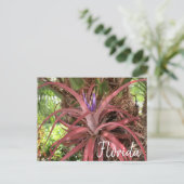 Carte postale Floride Exotic Flower Air Plante (Debout devant)