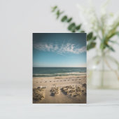 Carte Postale Floride Golfe du Mexique (Debout devant)