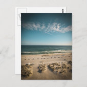 Carte Postale Floride Golfe du Mexique (Devant / Derrière)