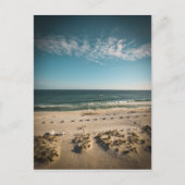 Carte Postale Floride Golfe du Mexique (Devant)