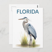 Carte Postale Floride Great Blue Heron Voyage d'oiseaux (Devant / Derrière)