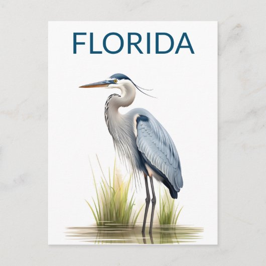 Carte Postale Floride Great Blue Heron Voyage d'oiseaux (Devant)