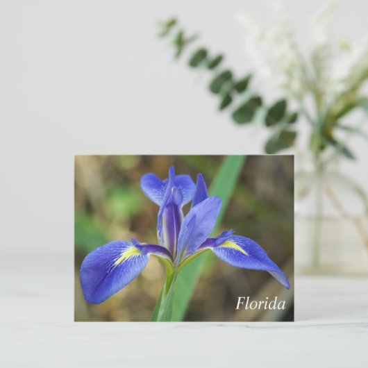 Carte Postale Floride iris photo (Debout devant)