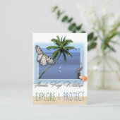 Carte Postale Floride Keys Faune (Debout devant)