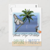 Carte Postale Floride Keys Faune (Devant / Derrière)