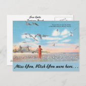 Carte Postale Floride, Mouettes, Daytona Beach (Devant / Derrière)