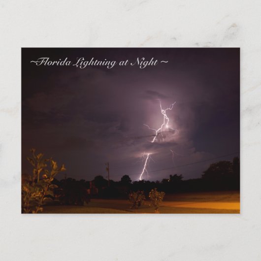 Carte postale Floride Night Lightning (Devant)